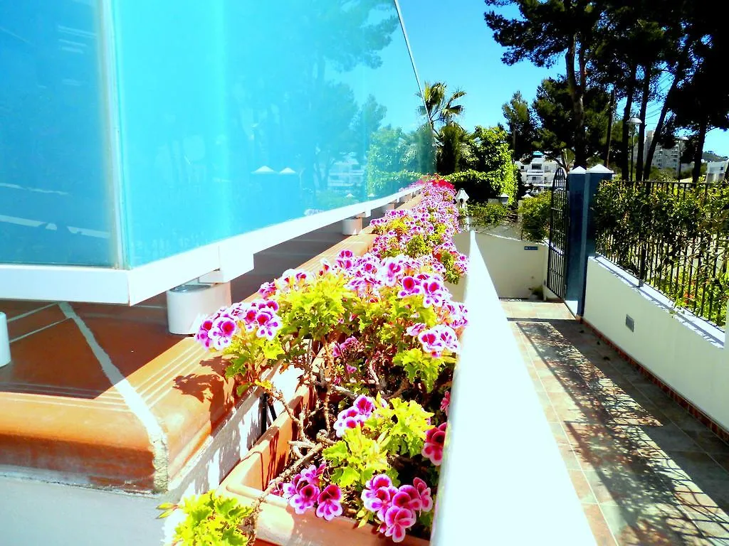 Apartment Apartamentos Petit Blau Peguera Spain